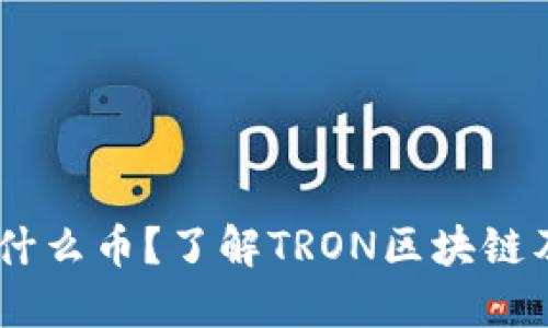 TRON是什么币？了解TRON区块链及其应用