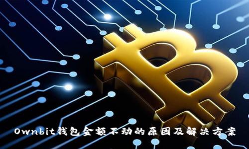 Ownbit钱包金额不动的原因及解决方案