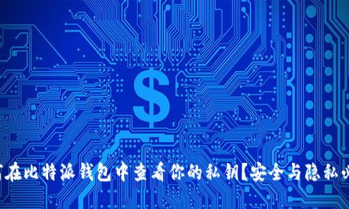 如何在比特派钱包中查看你的私钥？安全与隐私必读！