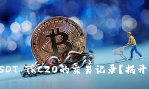 如何高效查询USDT TRC20的交易记录？揭开隐藏的金融秘密
