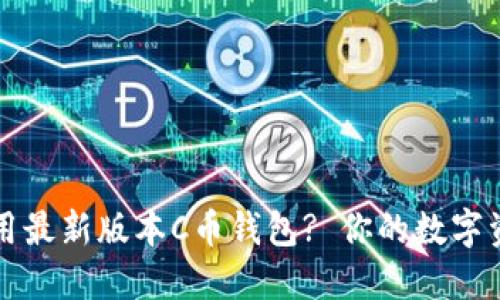 如何安全使用最新版本C币钱包? 你的数字资产保护指南