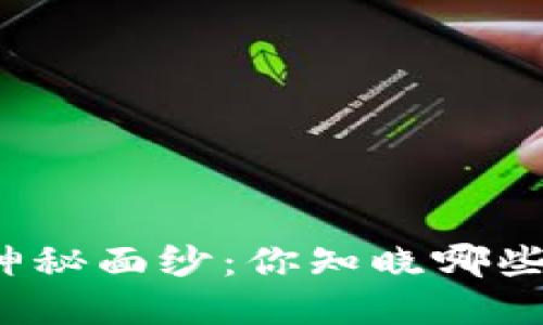 揭开数字钱包的神秘面纱：你知晓哪些潜力巨大的选择？