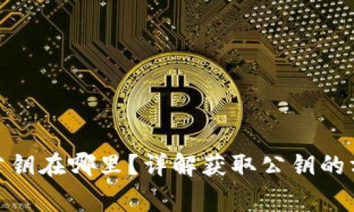 : 以太坊钱包公钥在哪里？详解获取公钥的方法及注意事项