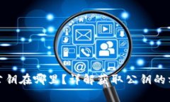 : 以太坊钱包公钥在哪里？详解获取公钥的方法及