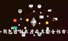 冷钱包密钥长度及其安全性分析