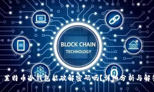 : 莱特币冷钱包能破解密码吗？详细分析与解答