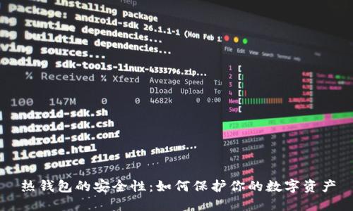 热钱包的安全性：如何保护你的数字资产