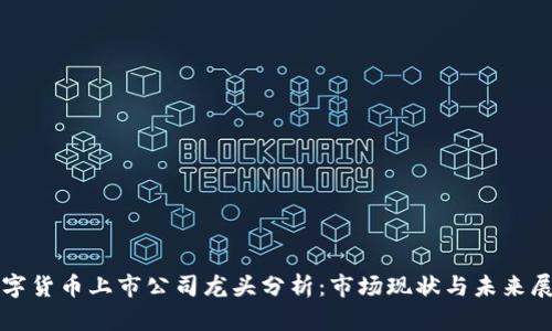 数字货币上市公司龙头分析：市场现状与未来展望