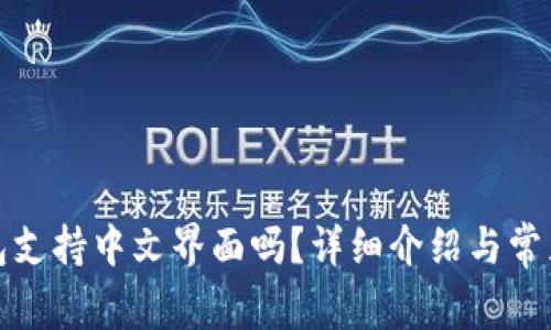 小狐狸钱包支持中文界面吗？详细介绍与常见问题解答