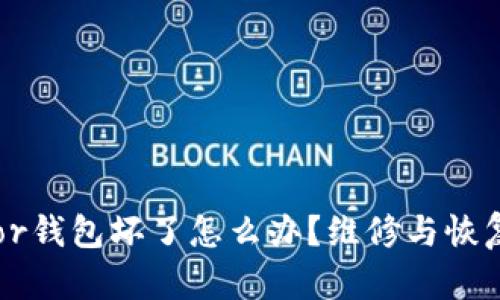 Trezor钱包坏了怎么办？维修与恢复指南