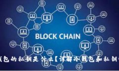 冷钱包的私钥是什么？详解冷钱包和私钥管理