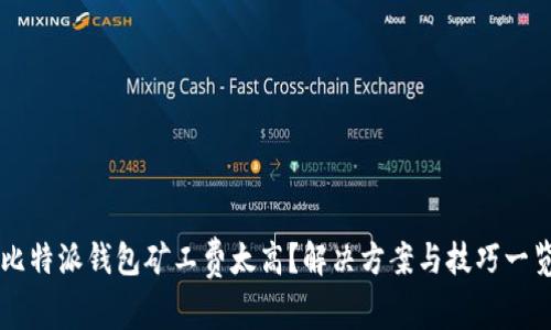 比特派钱包矿工费太高？解决方案与技巧一览