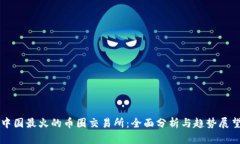 中国最火的币圈交易所：全面分析与趋势展望