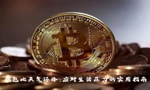 钱包比天气还冷：应对生活压力的实用指南