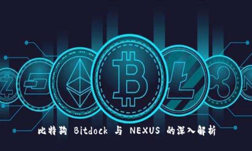 比特狗 Bitdock 与 NEXUS 的深入解析