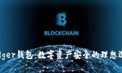 Ledger钱包：数字资产安全的理想选择