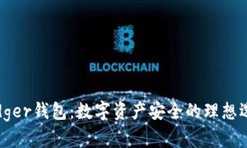 Ledger钱包：数字资产安全的理想选择