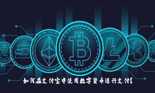 如何在支付宝中使用数字货币进行支付？