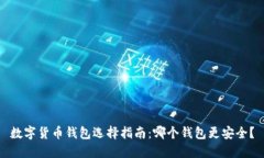 数字货币钱包选择指南：哪个钱包更安全？