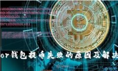 Trezor钱包提币失败的原因及解决方案