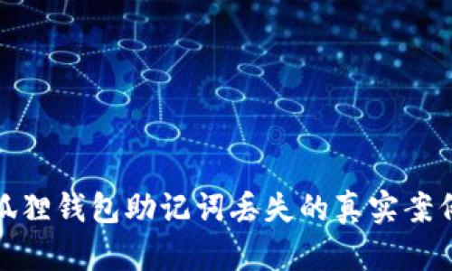 如何恢复小狐狸钱包助记词丢失的真实案例及应对策略