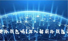 Token.im钱包是冷钱包吗？深入解析冷钱包与热钱包