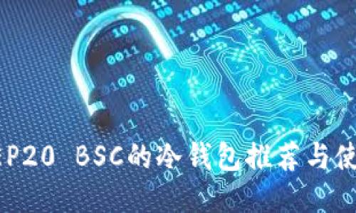 支持BEP20 BSC的冷钱包推荐与使用指南