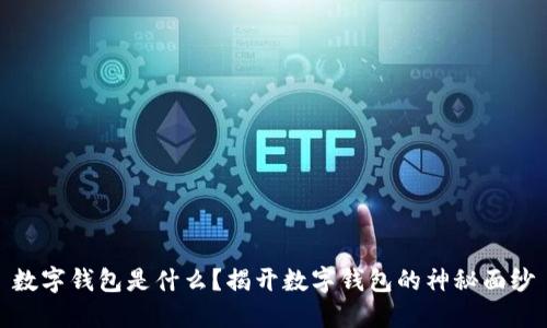 数字钱包是什么？揭开数字钱包的神秘面纱