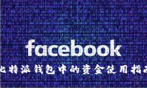 比特派钱包中的资金使用指南