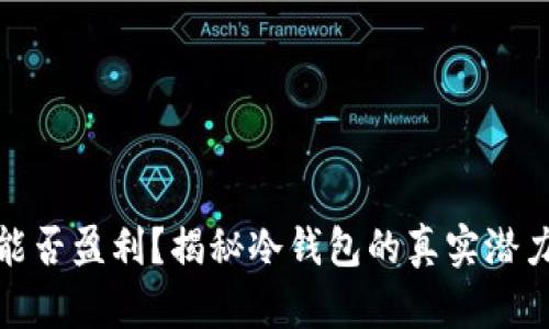 冷钱包能否盈利？揭秘冷钱包的真实潜力与风险